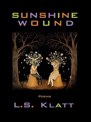 cover image of Sunshine Wound